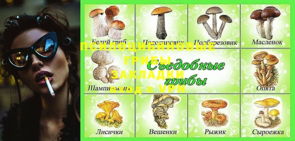 сатива Мурманск