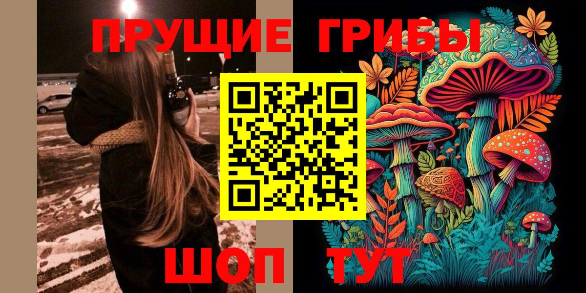 Псилоцибиновые грибы ЛСД Тамбов