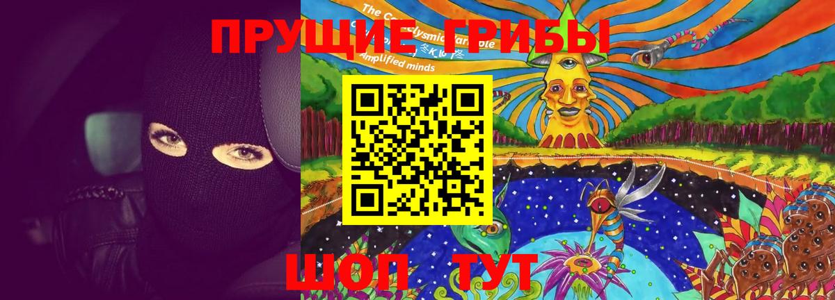 Псилоцибиновые грибы Magic Shrooms  Галлюциногенные грибы MAGIC MUSHROOMS  Тамбов  Вход с VPN 